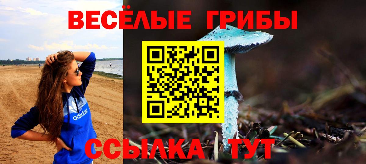 Галлюциногенные грибы ЛСД Вольск