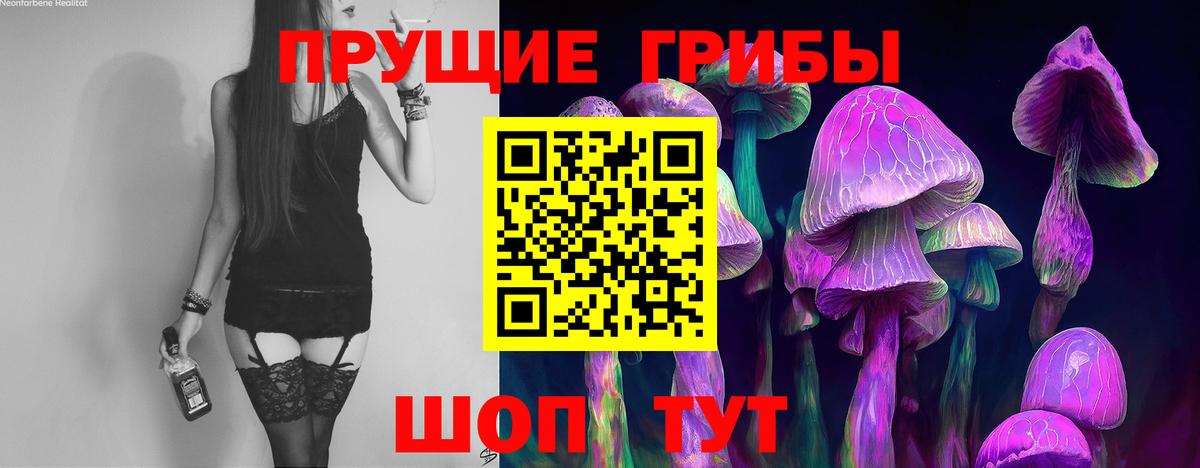 Вольск  Псилоцибиновые грибы мицелий  Вход с VPN 