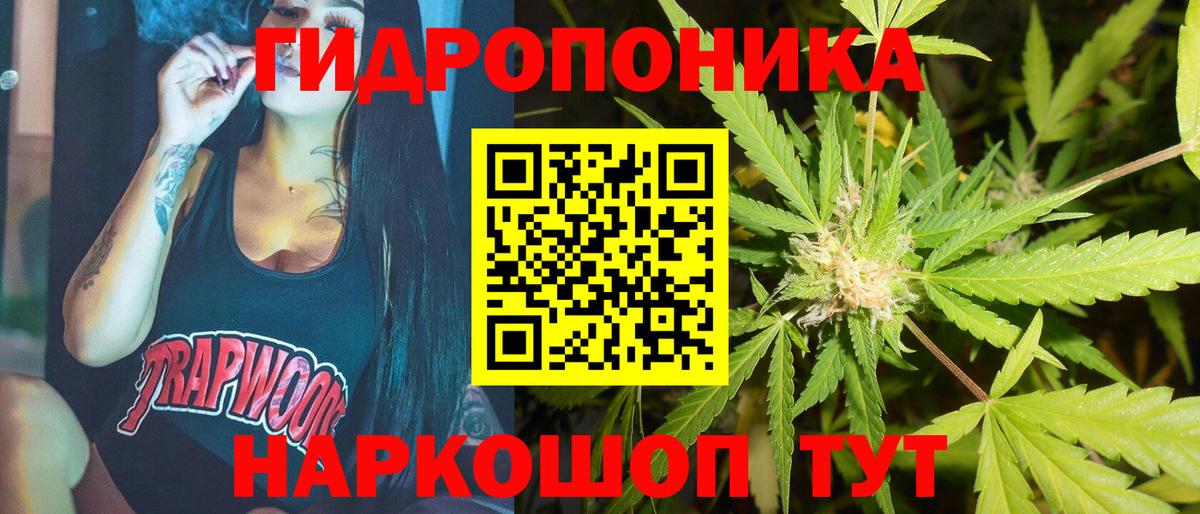 Шишки марихуана White Widow  Бошки Шишки сатива  Вход с VPN  Конопля сатива  Каннабис конопля  Вольск 
